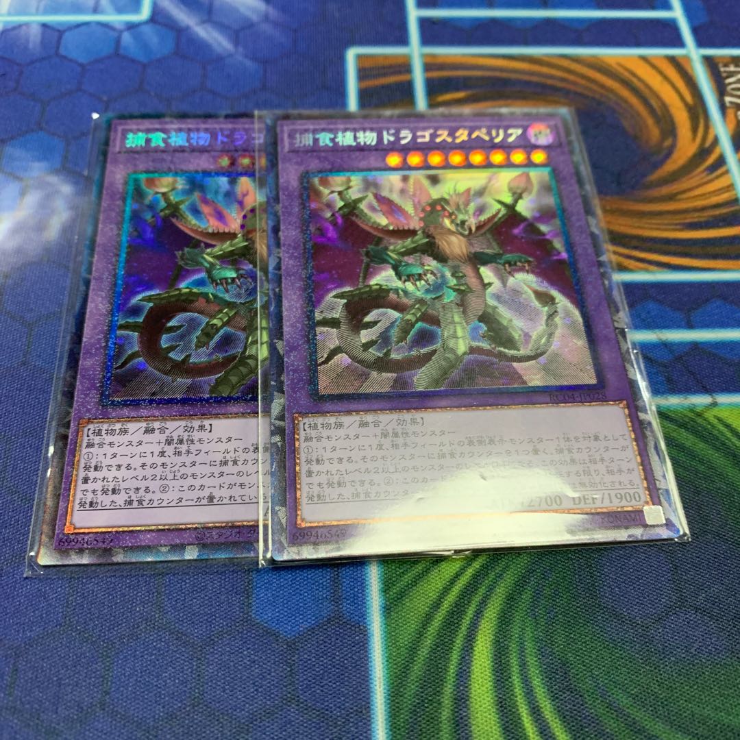 Predaplant Dragostapelia Collector's Rare JP028