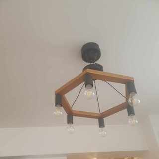 アルセウスLV.100 ポケモンカードゲームデザインコンテスト最優秀賞 PROMO Shoki Nakamura 23cm