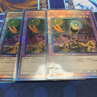 Lonefire Blossom Ultimate Rare JP002