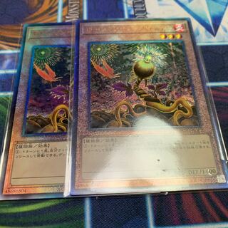 Lonefire Blossom Ultimate Rare JP002