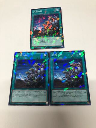 同胞の絆 パラレル ノーマル JP030 3枚セット