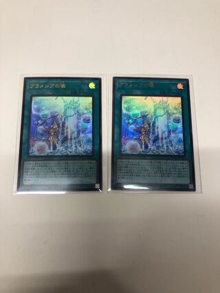 アラメシアの儀2枚セット