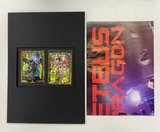 Bolmeteus Steel Dragon: A Tale of the Truncated Soul 20th Anniversary Box Limited Edition Special 2-Card Set