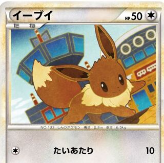 イーブイ　募集用