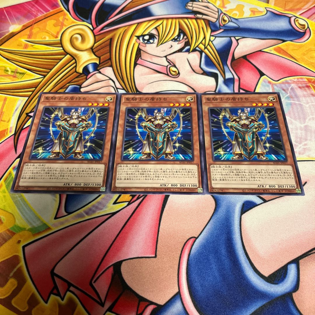 Noble Knight's Shield-Bearer Normal JP017