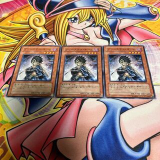 Shadowpriestess of Ohm Normal JP024