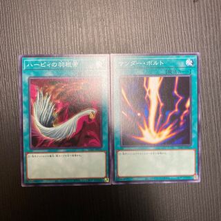 サンダー・ボルト ハーピィの羽根帚　2枚