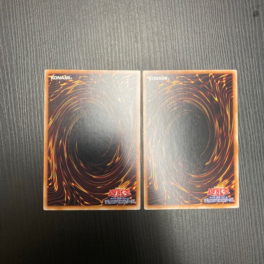 サンダー・ボルト ハーピィの羽根帚　2枚