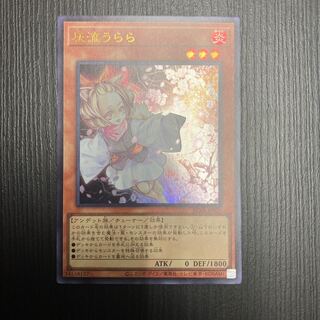 Ash Blossom & Joyous Spring