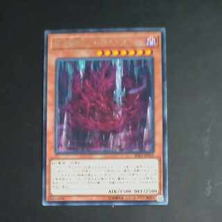 Tenwei Ryu - VISHUDA rare JP016 [Mokurindo