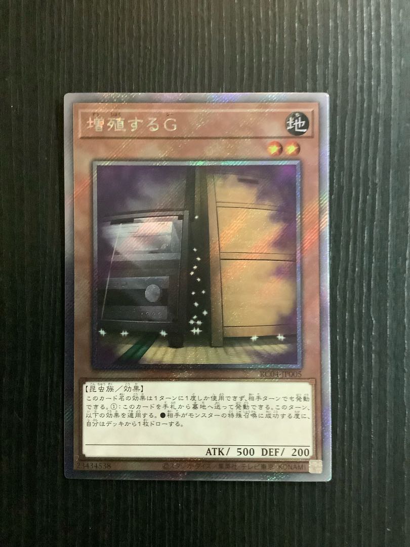 Maxx "C" EXSE JP005