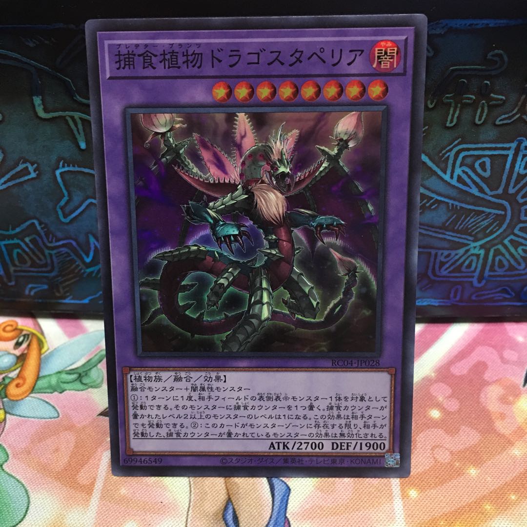 No.1781 P屋 Predaplant Dragostapelia [Sue