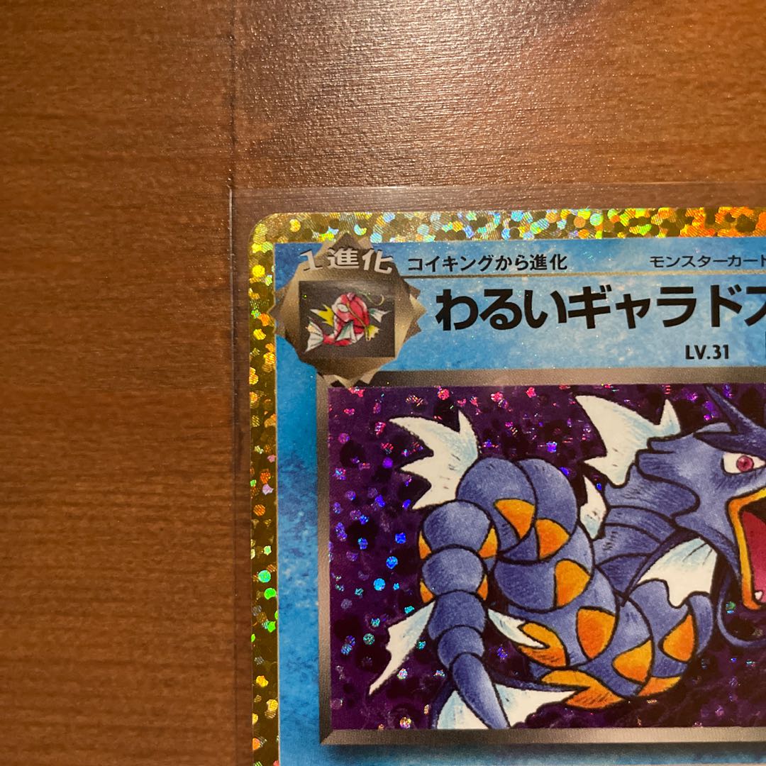 Bad Gyarados 25th Anniversary Promo 1枚