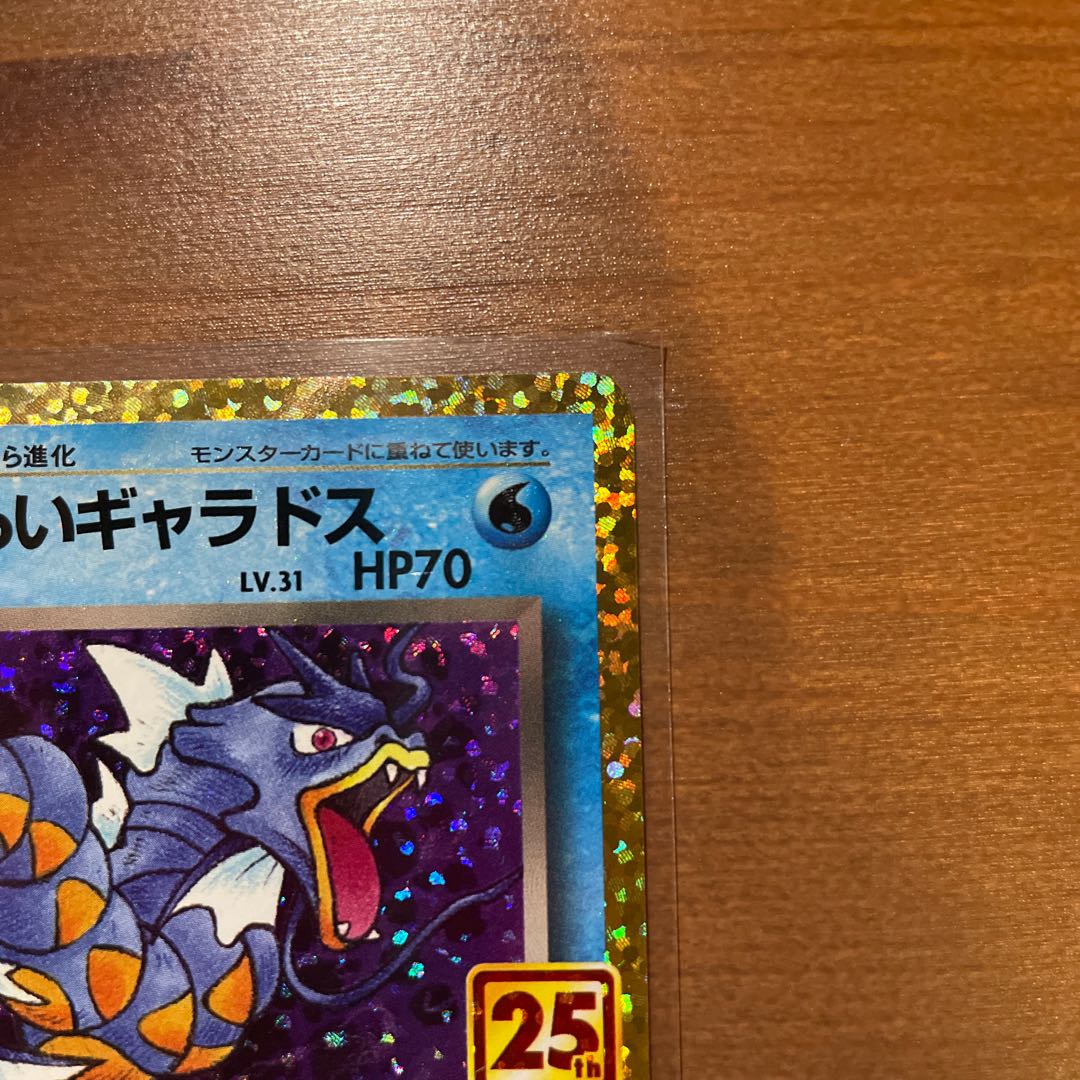 Bad Gyarados 25th Anniversary Promo 1枚