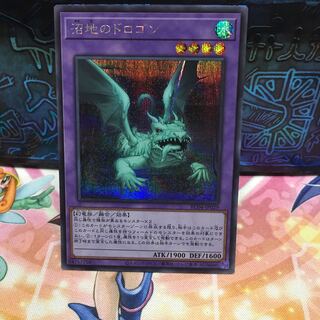 No.1791 P屋　沼地のドロゴン 【シク】