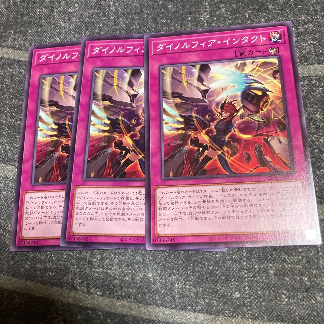 Dynorphia Intact Normal JP076