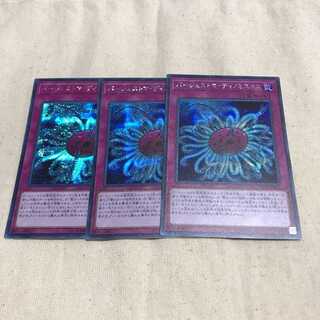 遊戯王　バージェストマディノミスクス　シク　3枚