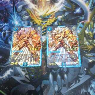 禁断機関VV8金シク2枚セット