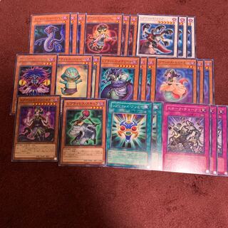 レプティレスヴァースキ