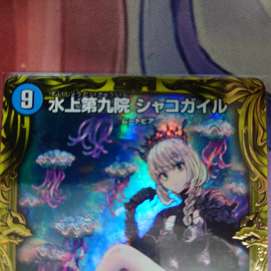 Waterjo Ninth Institute Shakogile (20th SP Rare Spec.) SR 17B/20