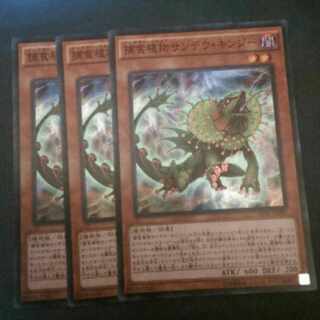 迅速対応！補食植物サンデウキンジー