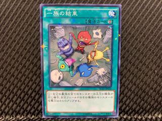 Yu-Gi-Oh! Solidarity Normal