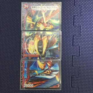 Gaiard's dragon (Oragon gaiardi)