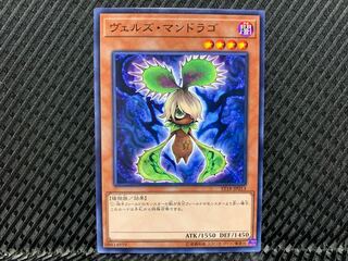 【アゴ之内】遊戯王 ヴェルズ・マンドラゴ ノーマル