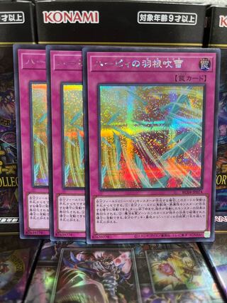 Yu-Gi-Oh Studio 2640 Harpie's Feather Storm Secret Rare JP074 Rare Collection