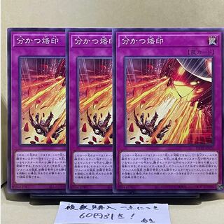 Brand that divides Normal JP070