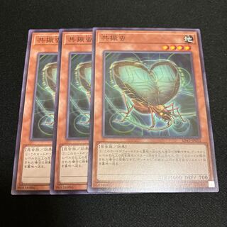 Resonance Insect Normal 3 sheets