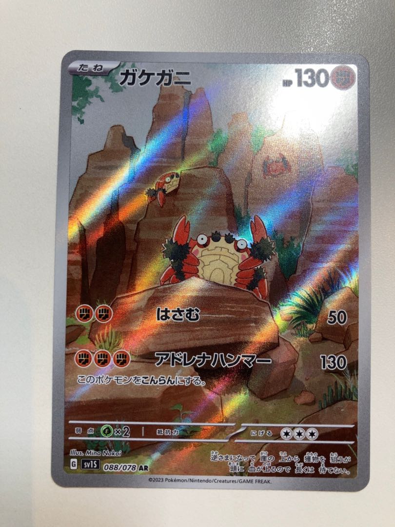 Asian shore crab (Hemigrapsus sanguineus)