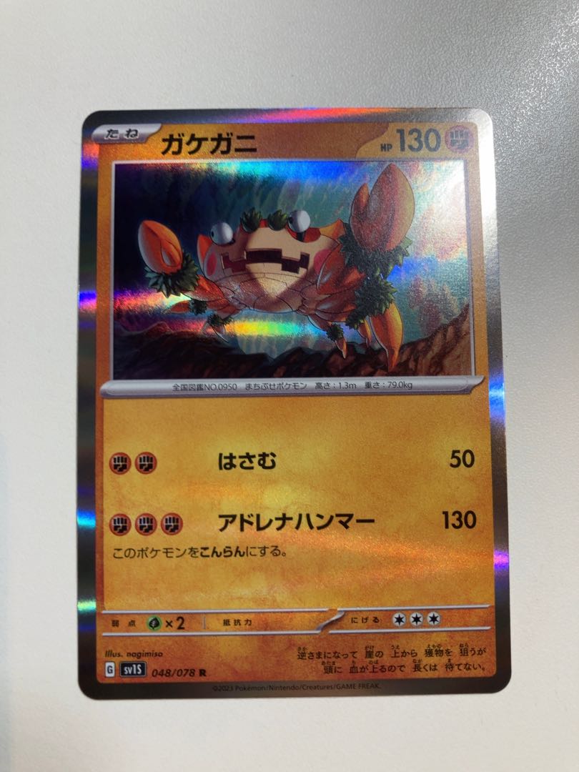 Asian shore crab (Hemigrapsus sanguineus)