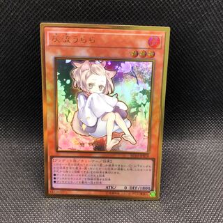 14)Ash Blossom & Joyous Spring Premium Gold