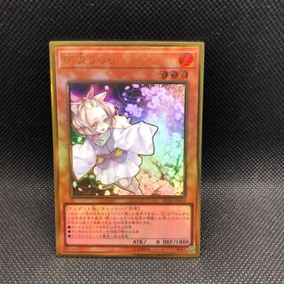 15)Ash Blossom & Joyous Spring Premium Gold