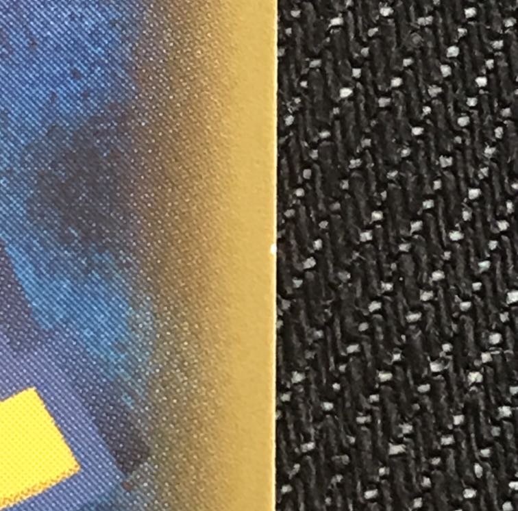 メガトウキョーのピカチュウ