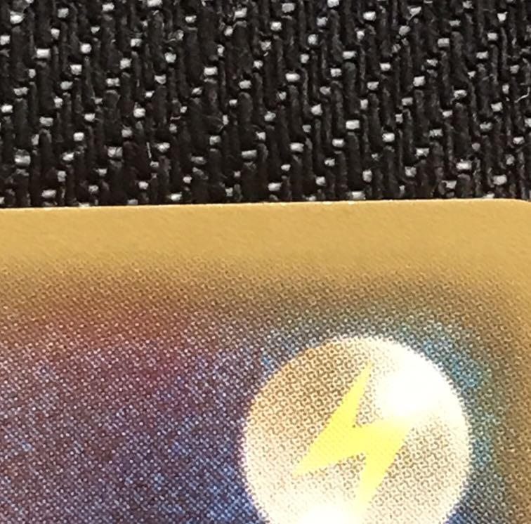 メガトウキョーのピカチュウ