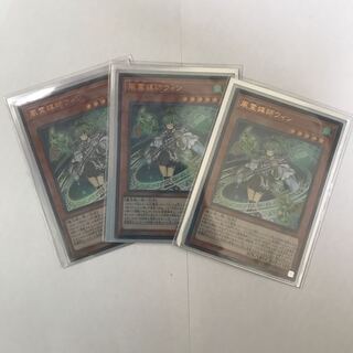 風霊媒師ウィン