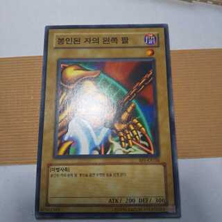 Exodia Parts Foreign Edition