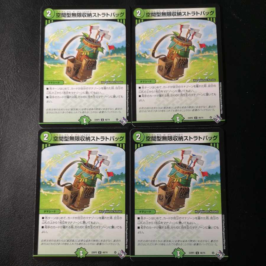 Set of 4 space-type infinite storage strat bags