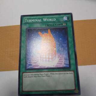 端末世界外国版