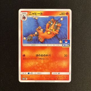 h246 Torracat Promo Pokemon Trekkie