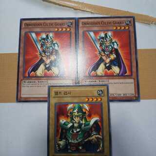 外国版翻弄するエルフの戦士セット