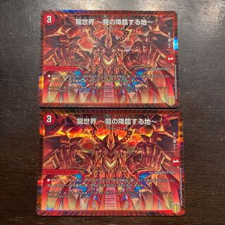 龍世界 -龍の降臨する地- VR 2/100