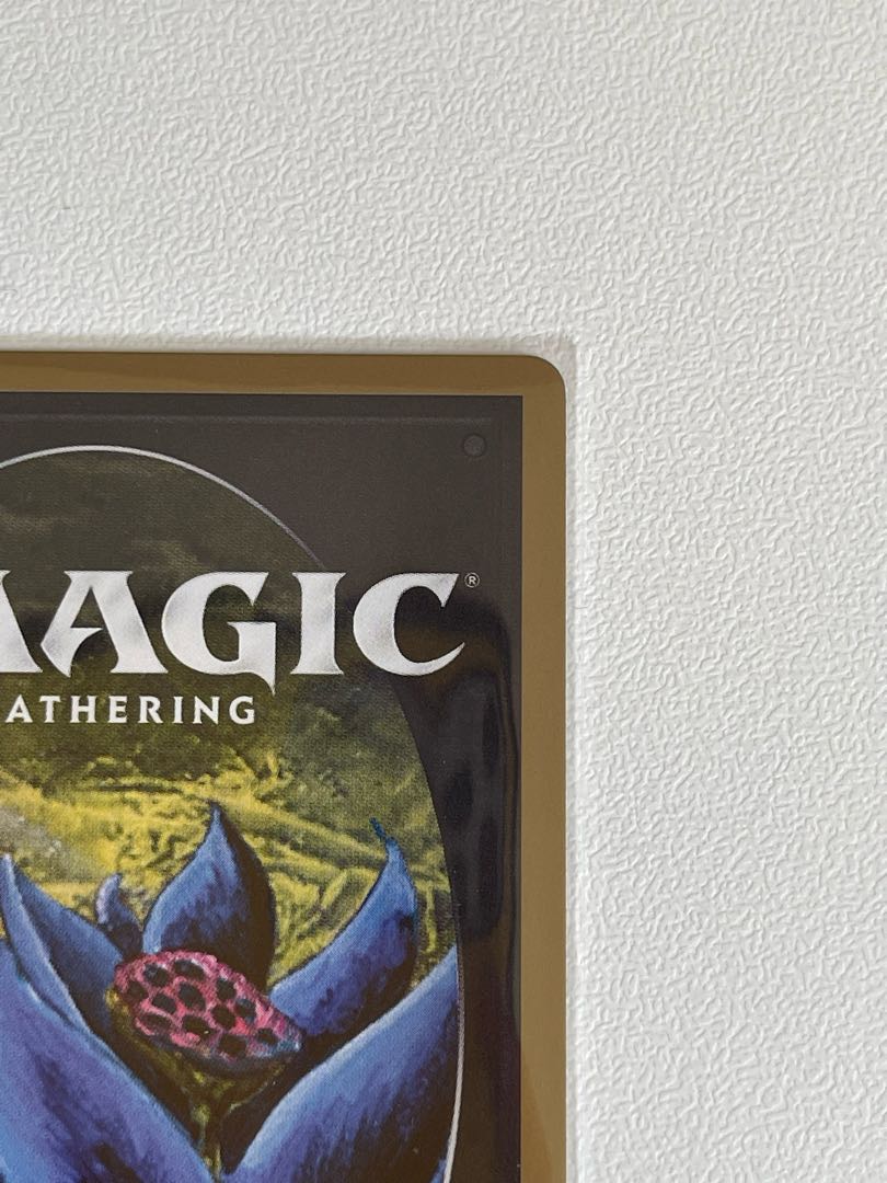 30th black lotus new frame