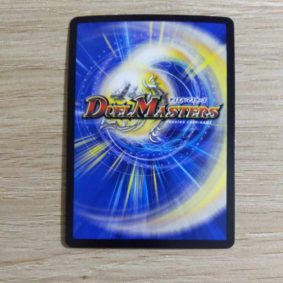 Knight of the Absolute Plaque SR S1/S11