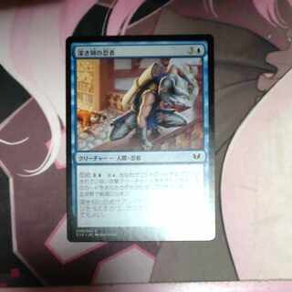 Ninja of the Deep Hours