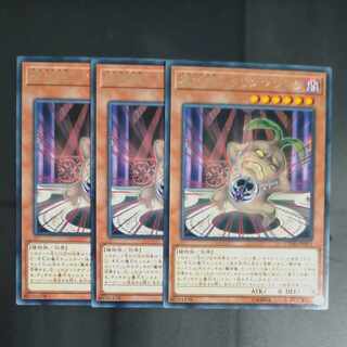 JP013✕3 - Squirrel Mandra rare [Mokurindo].