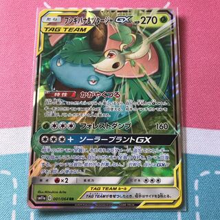 フシギバナ＆ツタージャ