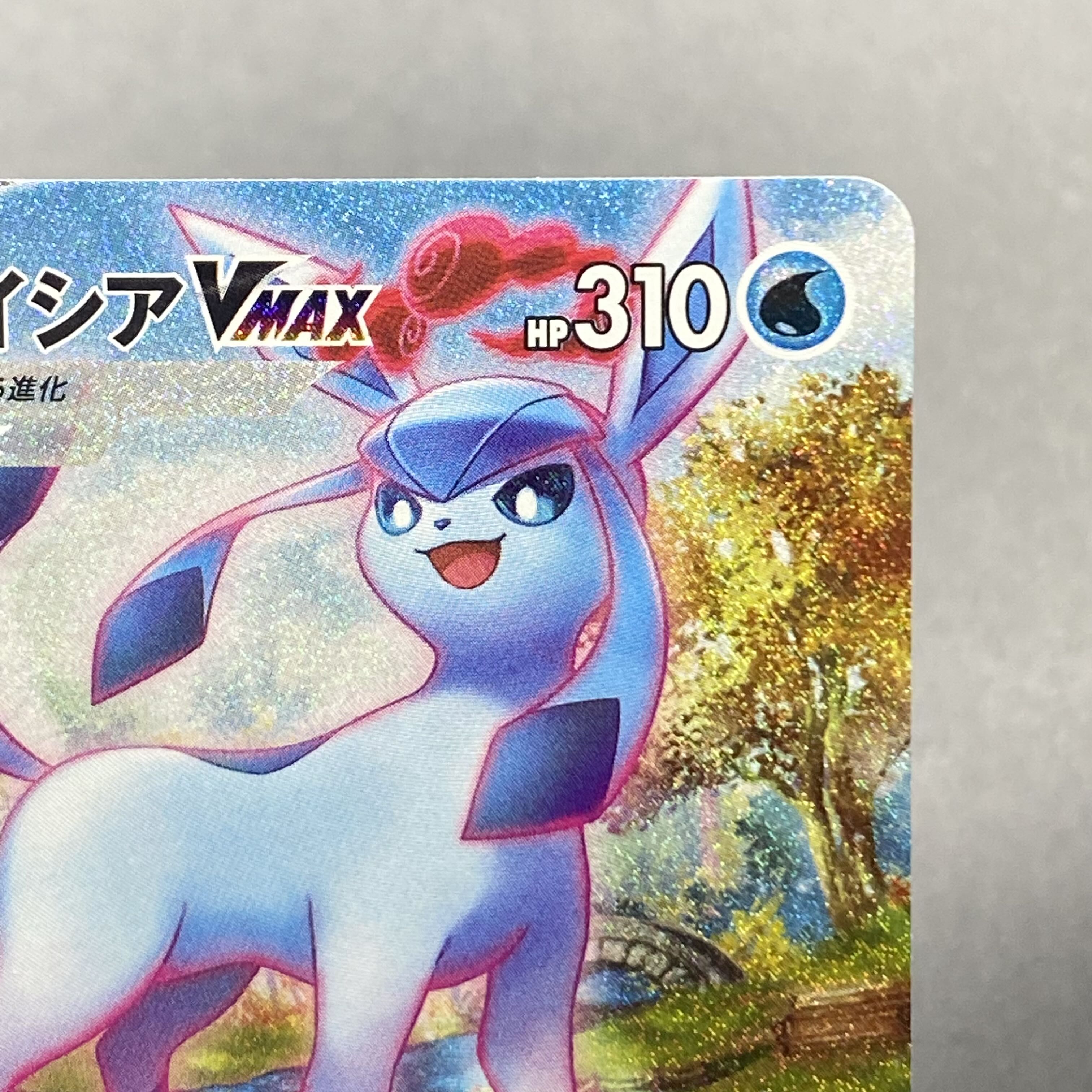 GlaceonVMAX HR SA 091/069